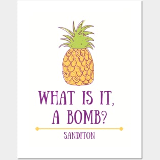 Sanditon Pineapple Posters and Art